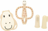 Antimicrobial Teething Starter Set - Sleek Choice