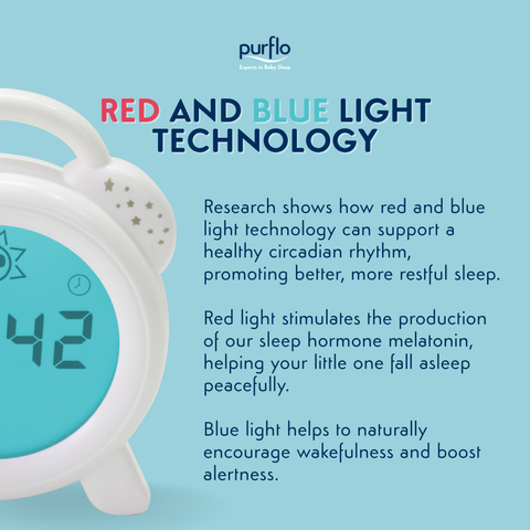 Purflo Snoozee Sleep Trainer And Clock