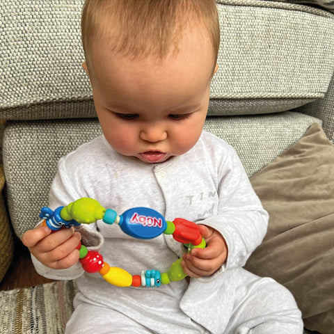 Bug-a-Loop Teether - Sleek Choice