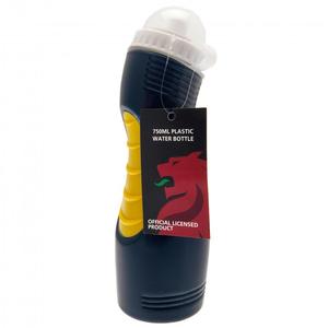 Scottish FA Drinks Bottle